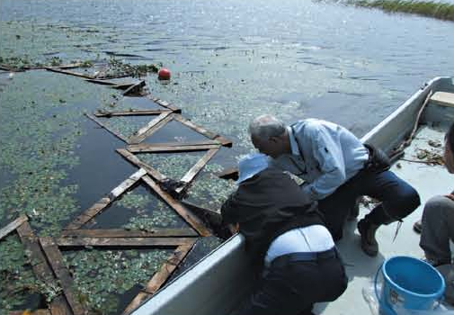 Water purification test by using carbon fiber seaweed bed[Onuma]
