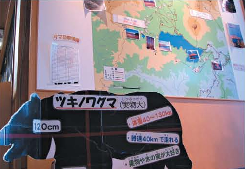 Providing information of bears at the visitor center[Nikko]