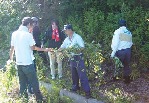 Removing invasive plants by interns[Shikotsuko]