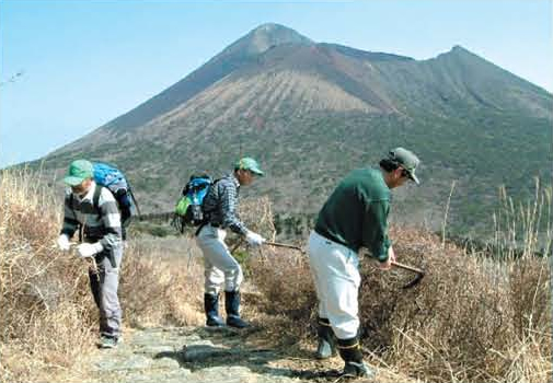 Supporting conservation activities of Kyushu Azalea[Takachihogawara]